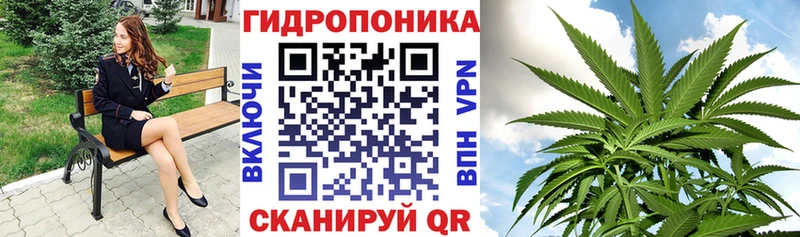 Хочу наркоту Кемь Кокаин NBOMe Гашиш Каннабис МЕФ A-PVP