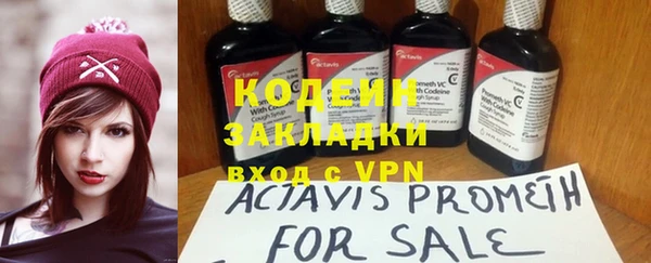 хмурый Алзамай