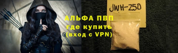 хмурый Алзамай