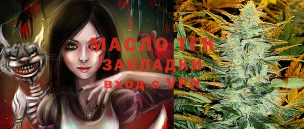 хмурый Алзамай