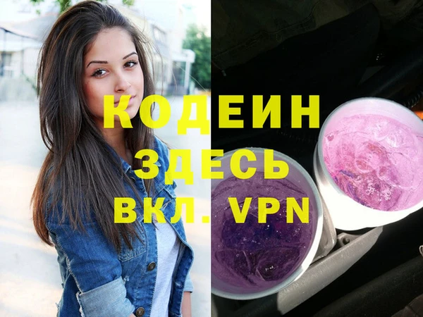 хмурый Алзамай