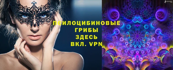 хмурый Алзамай
