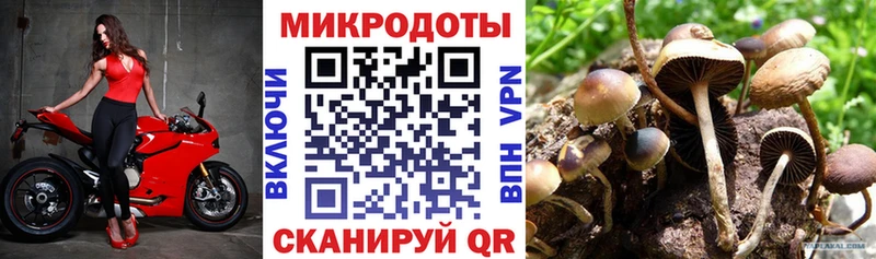 Псилоцибиновые грибы GOLDEN TEACHER  Кемь 